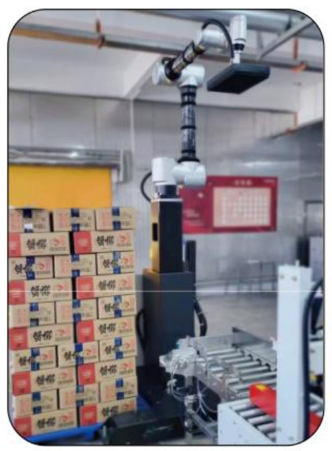 Ai-RMD30 AI Collaborative Palletizing Robot (≤9 kartonów/min)