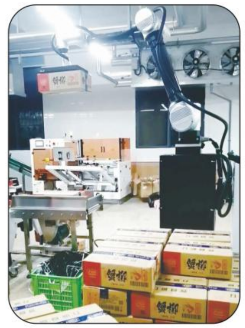 Ai-RMD30 AI Collaborative Palletizing Robot (≤9 kartonów/min)