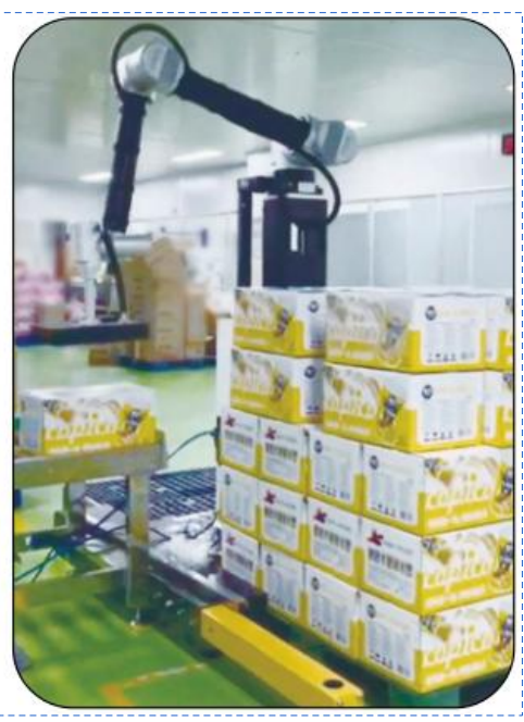 Ai-RMD30 AI Collaborative Palletizing Robot (≤9 kartonów/min)